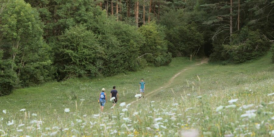 NaturCoaching