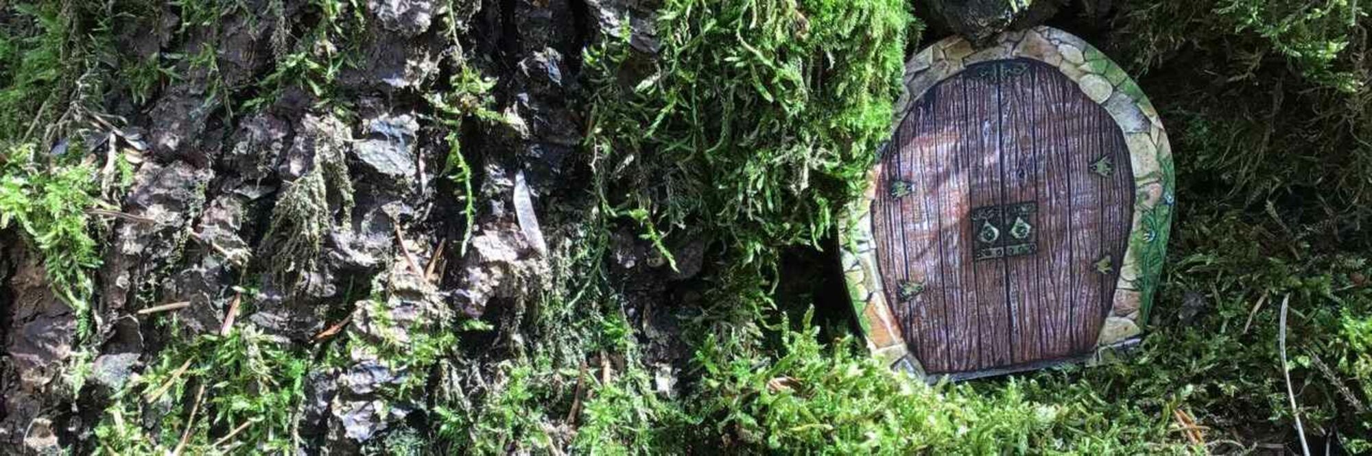 Tür im Koboldland Versteckte Tür im Koboldland. Was sich wohl dahinter verbirgt?