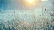 wp11133485.webp