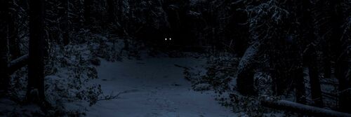 Dunkler Wald, mit Schnee bedeckt. Weiter hinten funkelt ein leuchtendes Paar Augen