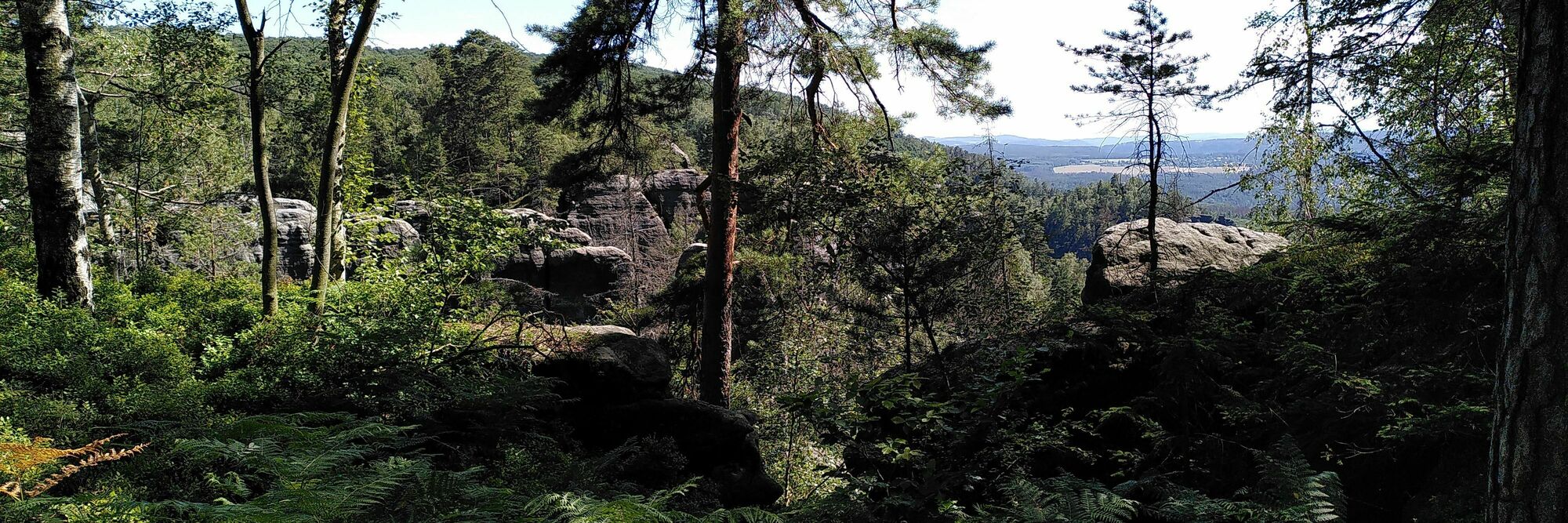 Sommer im Elbsandsteingebirge