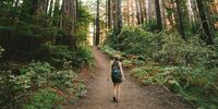 Wanderung im Wald
