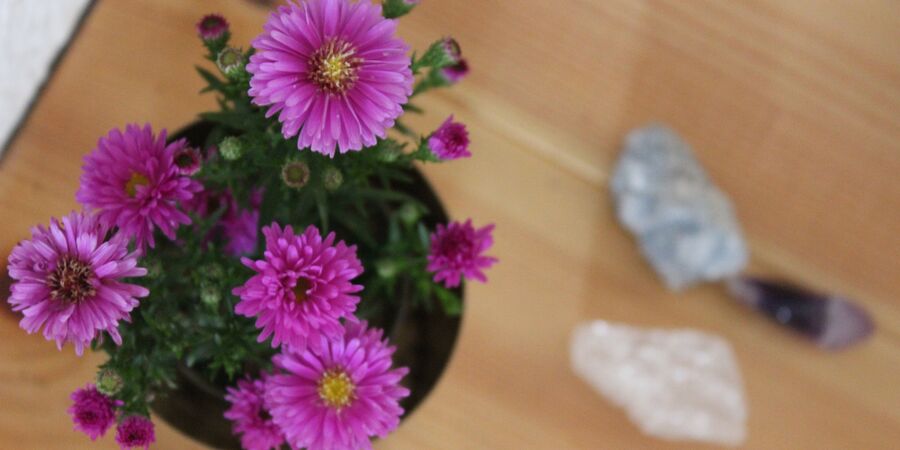 IMG_5129.JPG